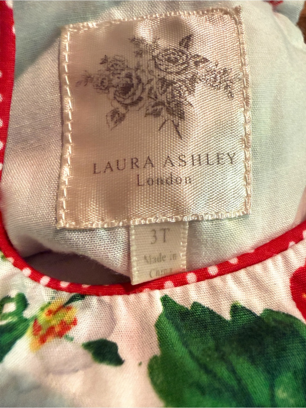 Toddler Girl 3T Spring/Summer Dress Bundle — Laura Ashley and Counting Daisies - Picture 4 of 9
